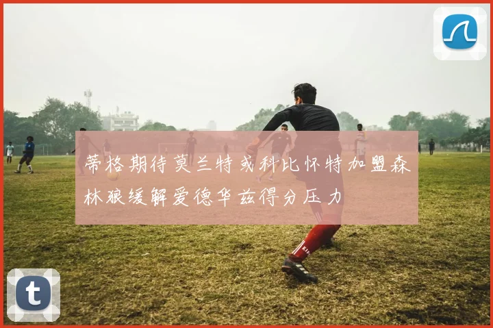 蒂格期待莫兰特或科比怀特加盟森林狼缓解爱德华兹得分压力